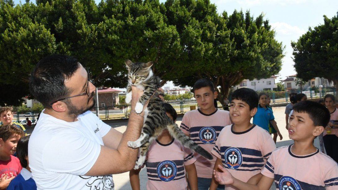 ' Şanslı ' Kedi,  Öğretmen ve Öğrencilerin Hayvan Sevgisiyle Hayata Bağlandı.